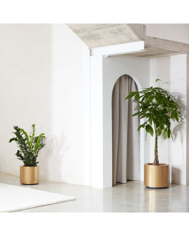 Kava Water planters in an inner courtyard | Aiure